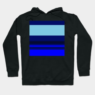 A tremendous shape of Sky Blue, Blue, Dark Imperial Blue and Cetacean Blue stripes. Hoodie